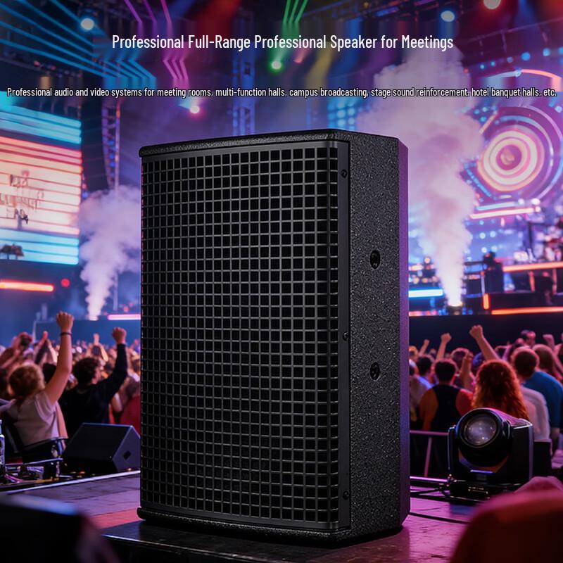 Weishu YE10 Professional 10-inch Full-Range Passive Speaker (CN version)