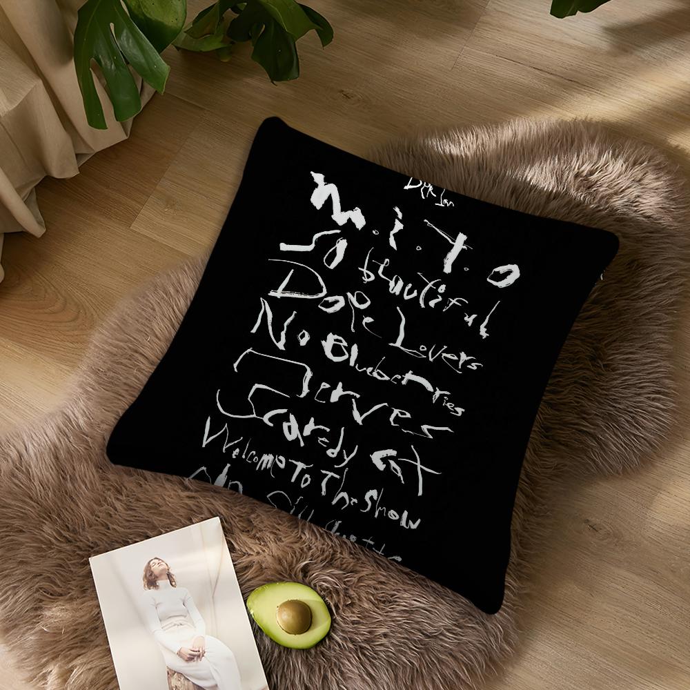 Musical artist ddpr ian Pillow Case Living Room Accent Couch Back Support Square Lounge Restful Nap Companion ?