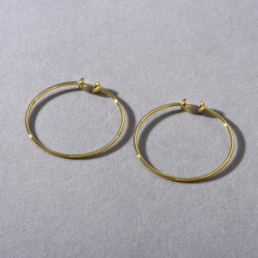 Cold Wind Minimalist Titanium Steel Large Earrings Female Wind Exaggerated Unique Personality Fashion Versatile Earrings Earrings