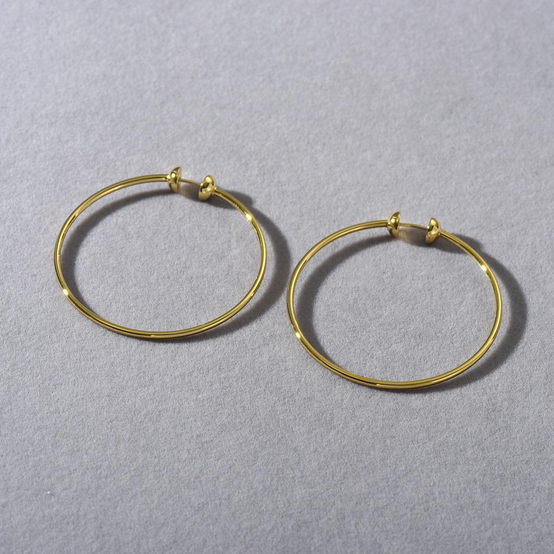 Cold Wind Minimalist Titanium Steel Large Earrings Female Wind Exaggerated Unique Personality Fashion Versatile Earrings Earrings