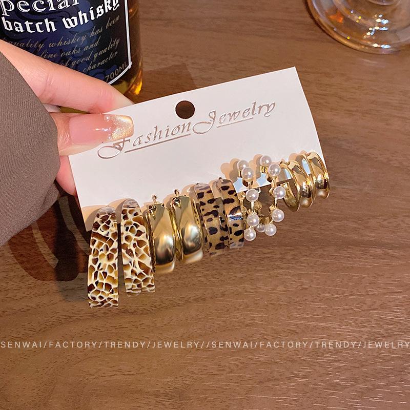 Five-piece retro leopard print earrings women s design stud earrings temperament ears