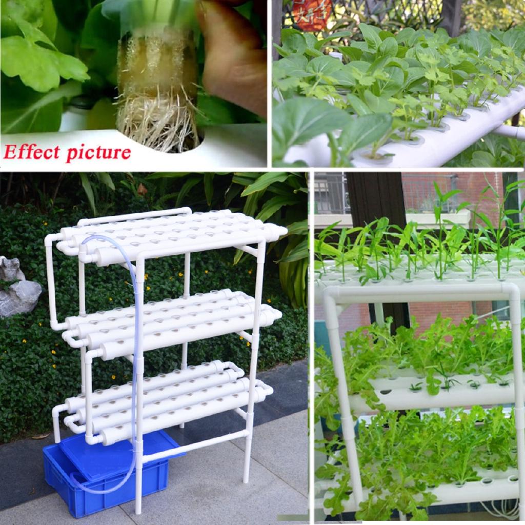 108 Hole Hydroponic System Plant Grow Kit Nursery Pots Anti Pest Soilless Cultivation Indoor Garden Culture Plant 112pc/set 220V