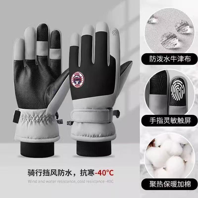 Gloves Women's Winter Velvet Thickened Warm and Cold-proof Touch Screen Men's Windproof Electric Vehicle Skiing Adult