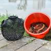 Yellow Eel Shrimp Cage Fishpot 3/6/8 Hole Design Cage Suitable for Outdoor Fishing Gear