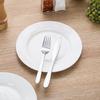Pure White Ceramic Dinner Plates