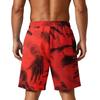 Men's Loose Shorts with Pockets - Layer Fabric Gym Training Beach Shorts