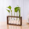 Creative Hydroponic Wood Frame Wall Mounted Tabletop Bonsai New Hydroponic Plants Container