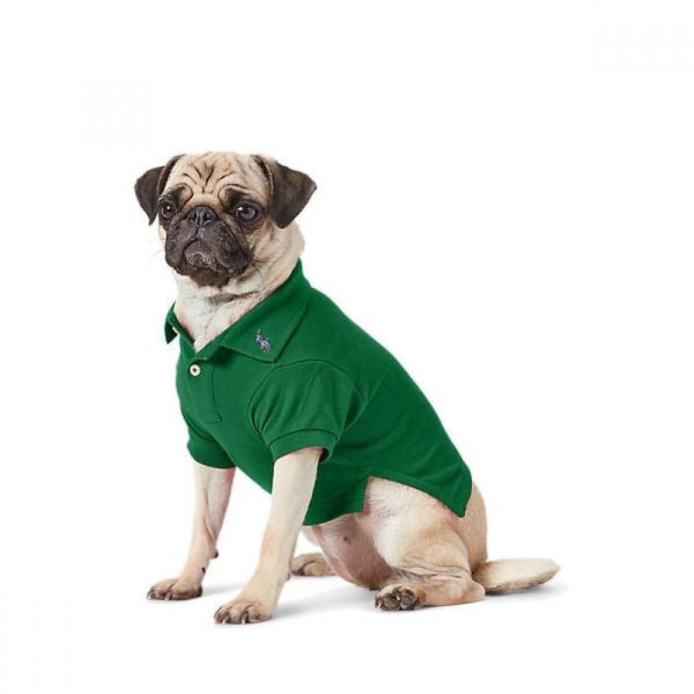 Polo Ralph Lauren Cotton Mesh Dog Polo Shirt Hmpogfthr920049300 XLARG