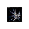 Bandai RG 1/144 Strike Freedom Gundam Titanium Finish Model Kit Hobby Collectible
