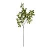 Hill Interiors Fennel Artificial Plant