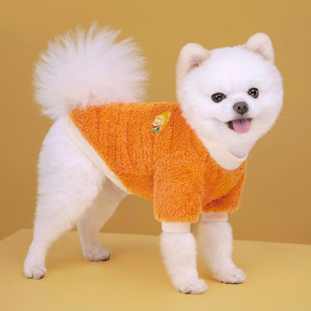 Thickened Coral Fleece Pet Clothes Warm Winter Wear Fruit Print Cats Dogs Apparel Universal Size Soft Lightweight Puppy Clothing