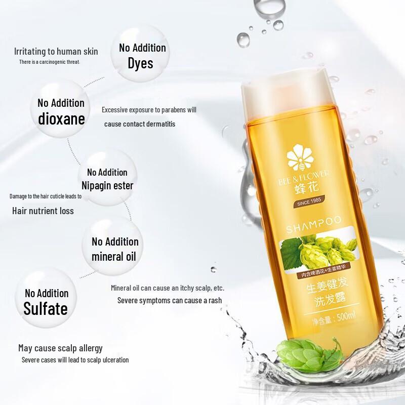 Fenhua Silicone-Free Oil Control & Hair Health Shampoo