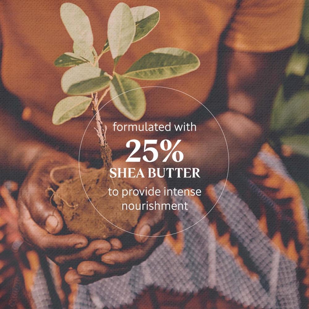 L Occitane Shea Butter Intensive Hand baLm