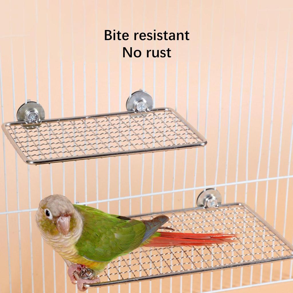 Papageienstange Plattform Edelstahl Leicht zu reinigen Übung Schnabel Nägel trimmen