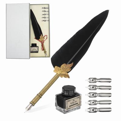 PATIKIL Feather Pen 1 Vintage Feather Calligraphy Fountain Dip Pen Pen Replacement Nibs for Beginner Black Set, Set, Pen, Set, Ink, Holder, Writers,