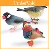 Realistic Decorative Animal Model Set Featuring Colorful Duck Sparrow Finch And Tit For Home And Office Display