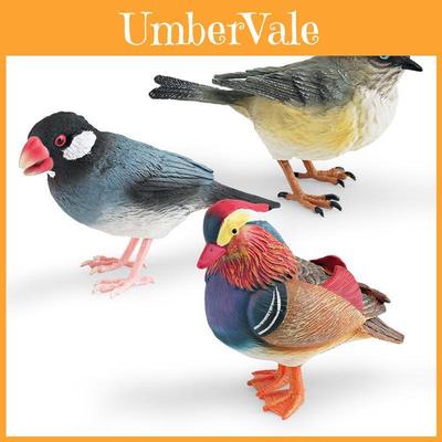 Realistisches dekoratives Tiermodell-Set mit farbenfroher Ente, Spatz, Fink und Meise zur Ausstellung zu Hause und im Büro