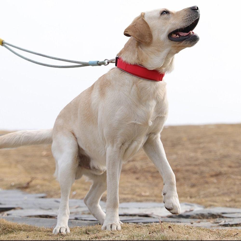 Adjustable Pet Dog Collar Polyester Fiber Pet Reflective Collar Dog Training Collar  Outdoor
