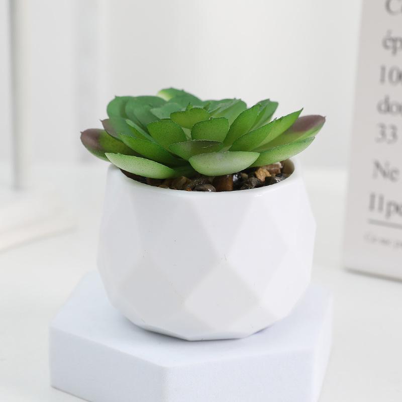 Diamond Succulent Set: Desktop Potted Ornament Decor