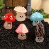 5PCS Set Mini DIY Wild Mushroom Ornament with Cute Expression Glow in The Dark for Fairy Garden Home Decoration Accessories