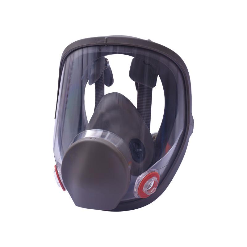 DAXTE Full Face Respirator Mask