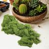 Artificial Moss DIY Crafts Home Decor Low Maintenance