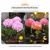 Hydrangea LED Solar Stake Lights - Waterproof Outdoor Garden Decoration