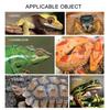 Reptiles House Shelter Basking Cave Crawling Terraces Hide Cave Small Reptiles for Secure Bearded and Snake Environment