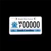 Beautifully Polished Mirror Finish Chrome For Front & Rear of Any U.s/canada Vehicles