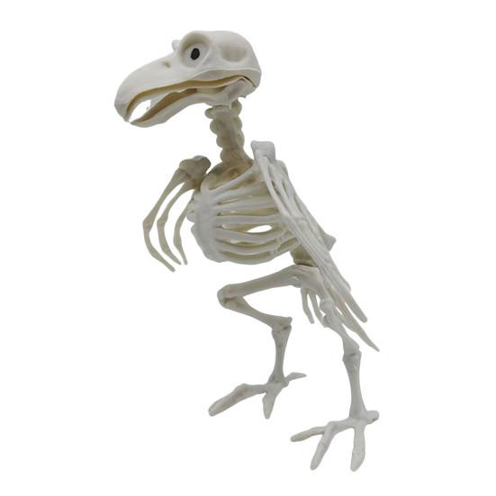 Halloweenské zvířecí kostry Pes Netopýr Žába Štír Pavouk Had Krysa Kostní kostry pro Halloweenskou párty Strašidelný dům Hřbitovní scéna Dekorace