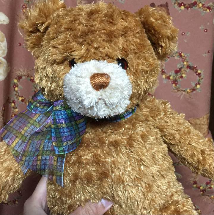 [USED] Teddy bear plush toy price reduction available