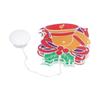 LED Christmas Decoration Lights Battery Powered Window Hanging Decor with Suction Cup for Christmas