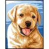 Margot Puppy Canvas Kit 20x25 Cm