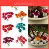 Vibrant Mini Colorful Mushroom Ornaments For Enchanting Dollhouse Garden Decor