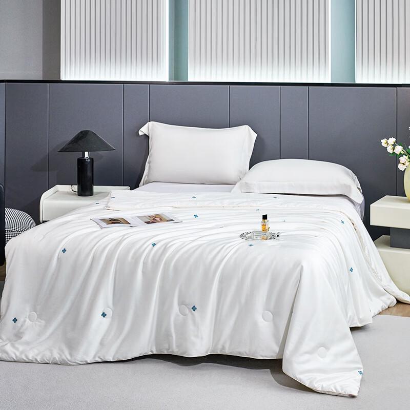 Jinsili Winter Tussah Silk Quilt