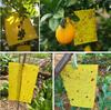 Folie Adezivă Control Dăunători 20x10cm Pachet 10 Bucăți Aderență Ridicată Hârtie Laminată Prindere Insecte pentru Interior Exterior