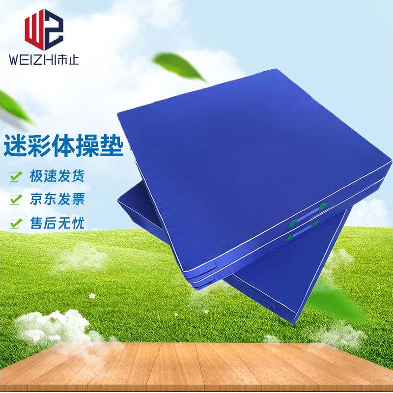 

Foldable Gymnastics and Exercise Mat