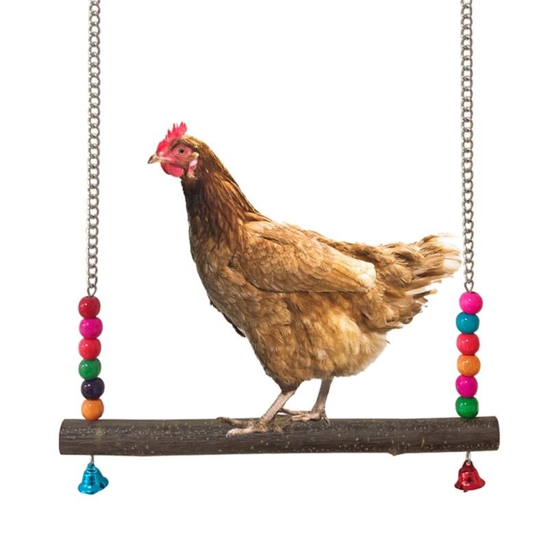 Parrots Toy Hammock Swing Toy Swing Standing Training Supplies Toy Wood Hammock with Colorful Beads Toy