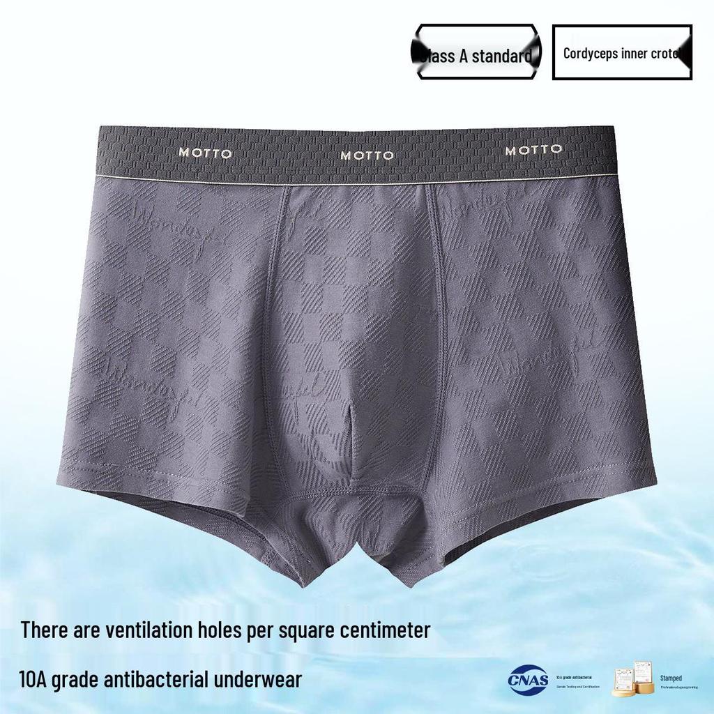 Men's A-Grade Antibacterial Pure Cotton Boxer Briefs, Plus Size, Breathable, Four-Corner Design