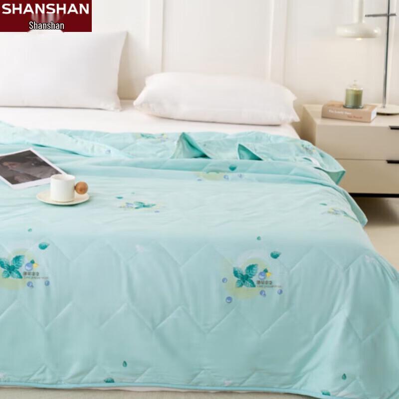 

FIRS Mint Cool Soft All-Season Quilt