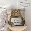 Funny Cat Pillow Cover For Bedroom Room And Living Room Sofa Decorative Cushion Cover