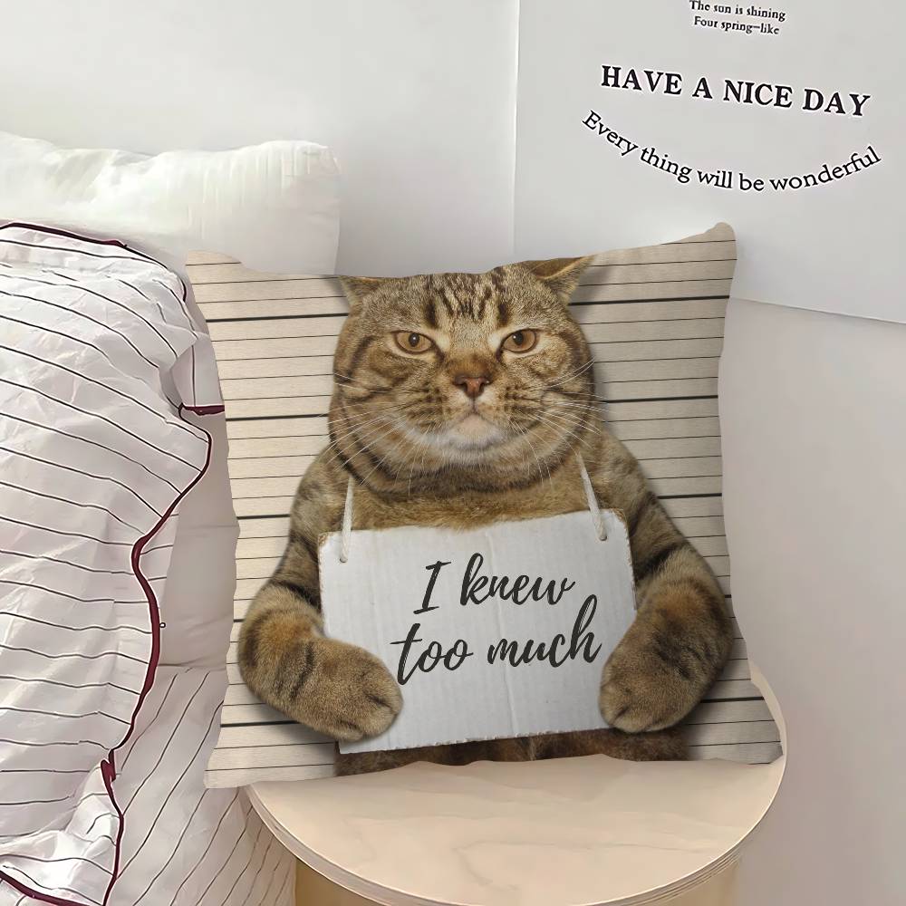 Funny Cat Pillow Cover For Bedroom Room And Living Room Sofa Decorative Cushion Cover