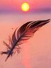 5D DIY Diamond Painting Sunset Cross Stitch Kit Diamond Embroidery Feather Mosaic Scenery Sale Picture Rhinestones Art