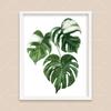 Bohemian Watercolor Tropical Plant Canvas Painting Monstera Banana Leaf Eucalyptus and Fern Art Posters Aesthetic Bedroom Decor