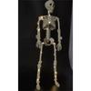 Halloween Horror Světelný kostlivec Skeleton Bar Dekorace s přívěskem scény KTV
