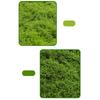 50 г искусственный мох DIY поделки трава искусственный мох искусственный консервированный мох зеленые растения для дома комната сад декор мини ландшафт искусственная трава