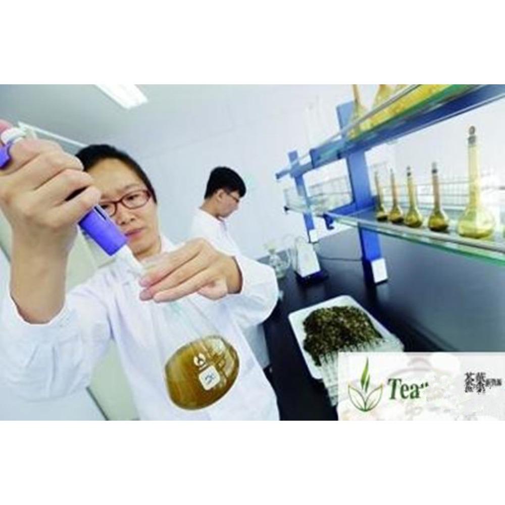 Organic Wuyi Lapsang Souchong Black Tea 250g Smoky Pine Aroma Longan Taste