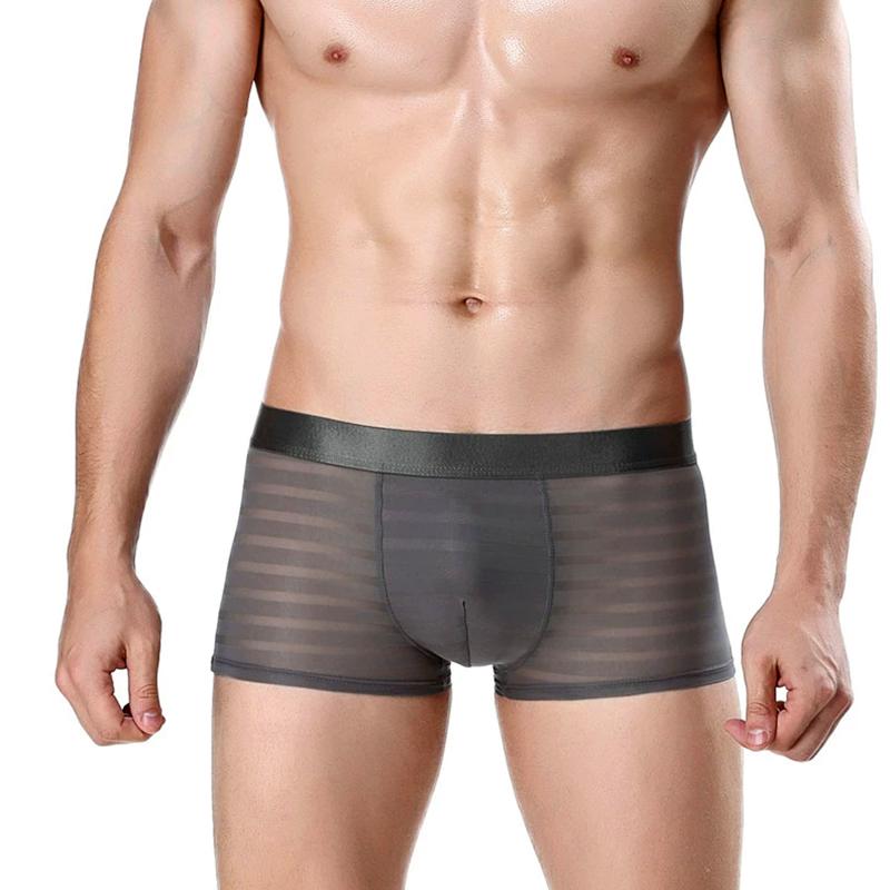 1Pc Men Panties Nylon Solid Color Sheer Mesh Pouch Lingerie Boxer Sexy Underwear Briefs