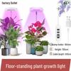 LED Ring Floor Plant Grow Light for Indoor Potted Plants