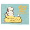 Manta Nishikawa Snoopy Charlie FQ71185069800, 100x70cm, Lavável, Macia, Quente, Leve, Marrom, Azul,